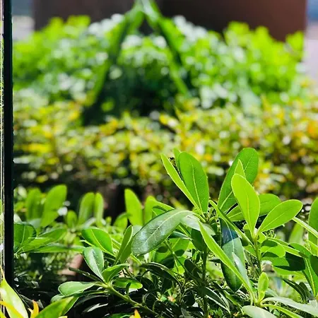 Apartmán Puro Homes *