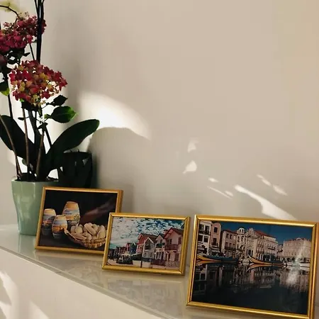 Puro Homes Apartment